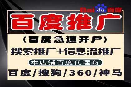百度推广的精准营销案例解析